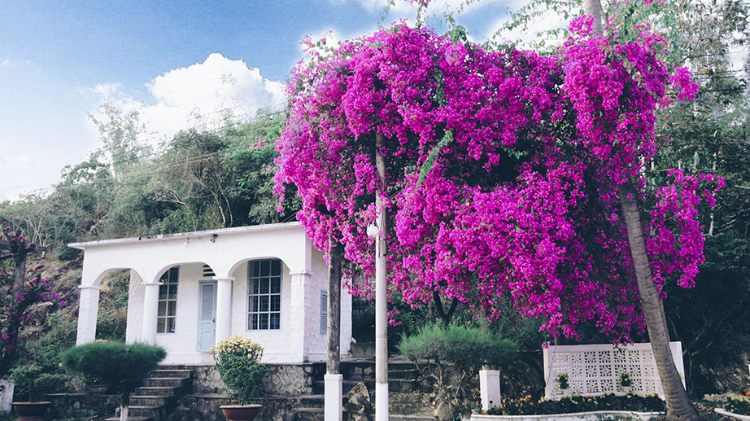 Vila dos Leprosos de Quy Hoa