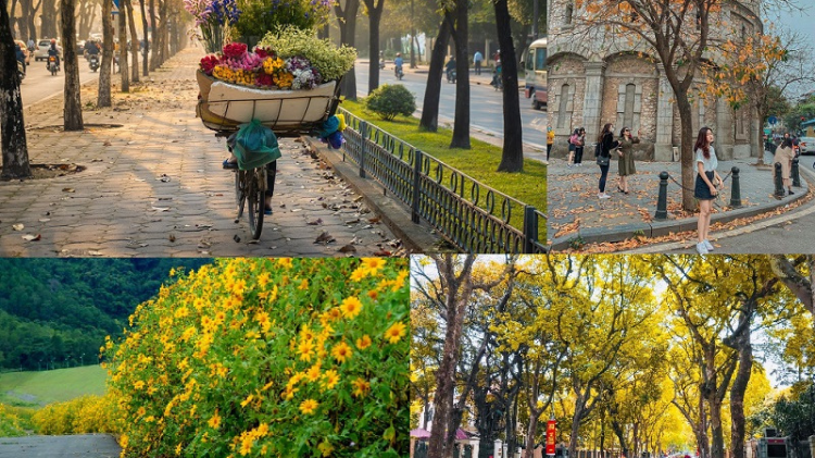 A Bairro Antigo de Hanói